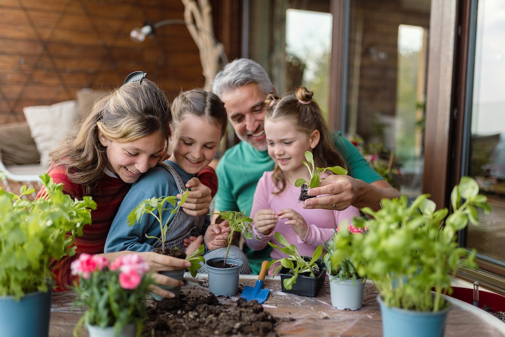 Vendre une maison : les aspects légaux à considérer lors de la construction d'un jardin
